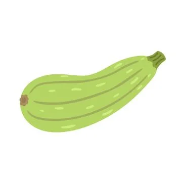 Zucchini icon in flat style Stock Illustration