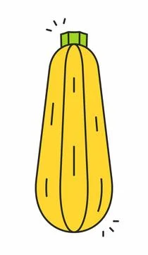 Zucchini icon Stock Illustration
