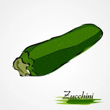 Zucchini Stock Illustration