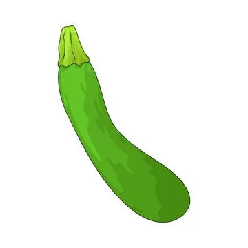 Zucchini illustration 스톡 일러스트