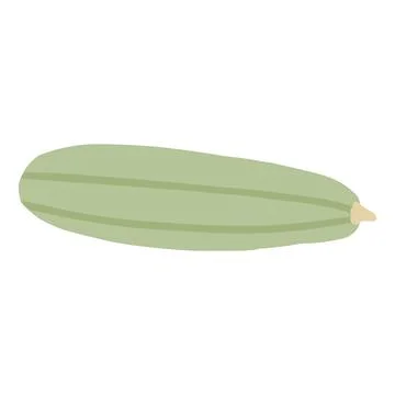 Zucchini isolated. Marrow vegetable. Stock Illustration