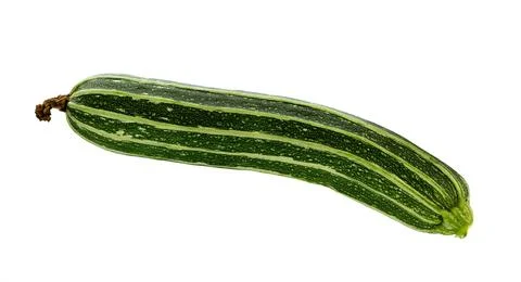 Zucchini isolated. Stock Photos