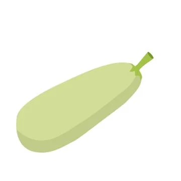 Zucchini isolated. Vegetables on white background. Eating vegetarian Stock Illustration
