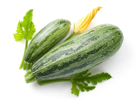 Zucchini Isolated On White Background Composition Stock Photos