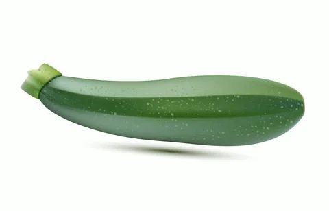 Zucchini isolated on white background Stock Illustration