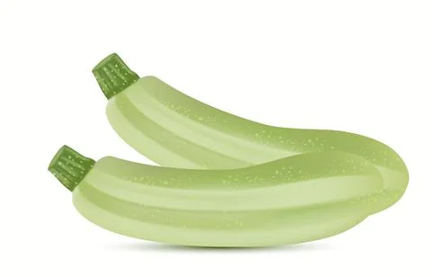Zucchini isolated on white background Stock Illustration