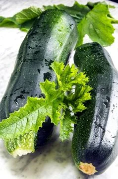 Zucchini with leaves on a marble table Stock Photos