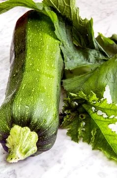 Zucchini with leaves on a marble table Stock Photos