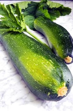 Zucchini with leaves on a marble table Stock Photos