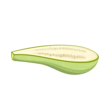 Zucchini marrow vegetable cartoon vector illustration color sign Stock Illustration