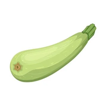 Zucchini marrow vegetable cartoon vector illustration color sign Stock Illustration
