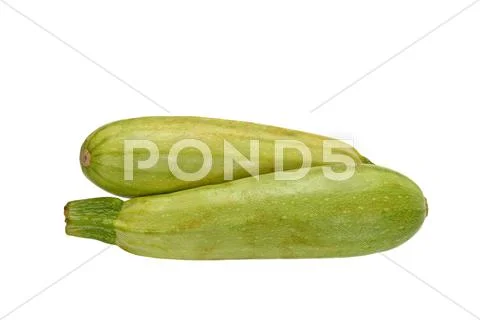 Zucchini Stock Photos