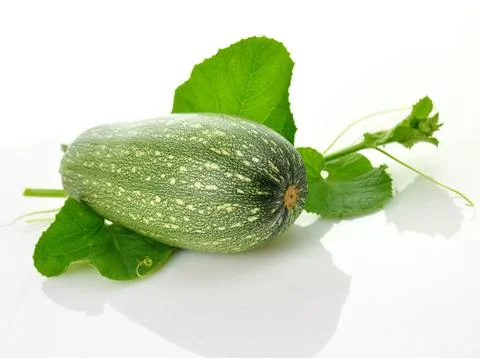 Zucchini Stock Photos