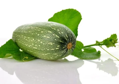 Zucchini Stock Photos