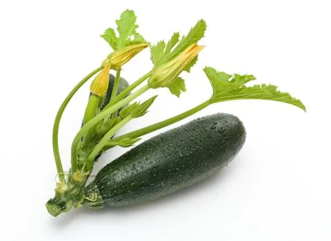 Zucchini Stock Photos