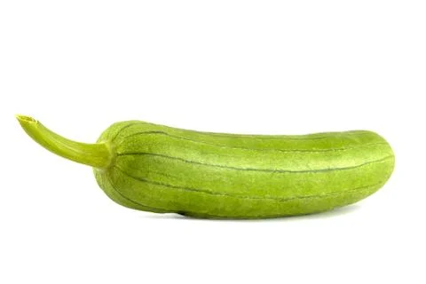 Zucchini Stock Photos