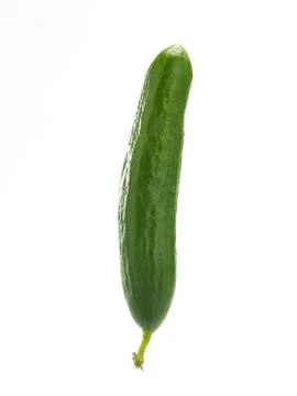 Zucchini Stock Photos