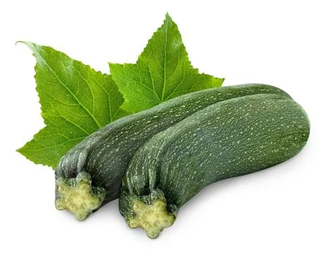 Zucchini Stock Photos