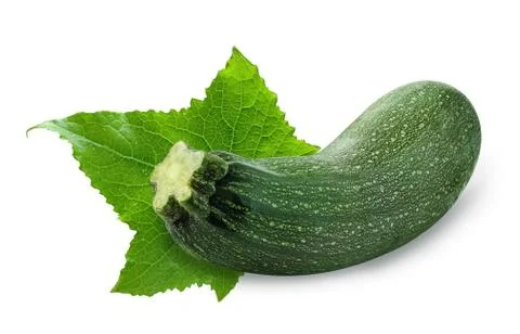 Zucchini Stock Photos