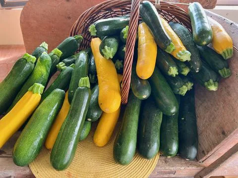 Zucchini Stock Photos
