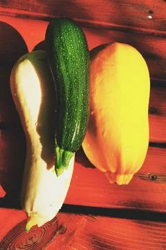 Zucchini Stock Photos