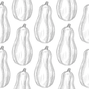 Zucchini seamless pattern on white background. Monochrome courgette vintage e Illustrazione stock