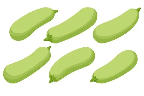 Zucchini set. Whole vegetable, cut, single and group. Flying slices.Vector Stock Illustration