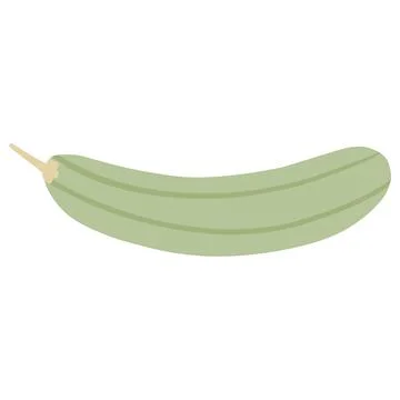 Zucchini in simple style. Marrow vegetable Stock Illustration