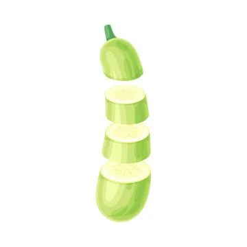 Zucchini slices lying in vertical row. Healthy organic vegetable vector Stock Illustration