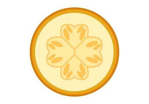 Zucchini  slices. Vector graphics on a white background. Illustrazione stock