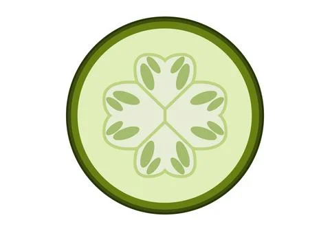 Zucchini  slices. Vector graphics on a white background. Illustrazione stock