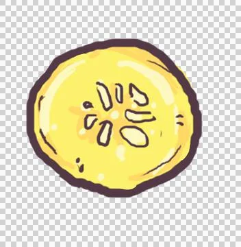Zucchini squash slice of frsh vegetable drawing illustration Stock Illustration