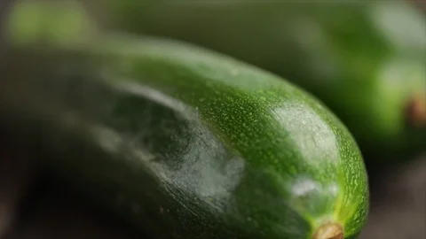 Zucchini Still wandering Sharpness Closeup Stock Footage 99166265