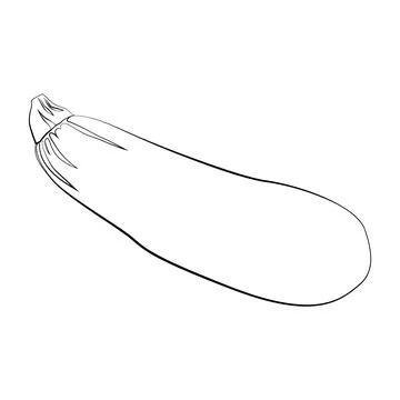 Zucchini with a thin line. Vector on a white background Stock Illustration