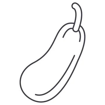 Zucchini vector line icon, sign, illustration on background, editable strokes Stock Illustration