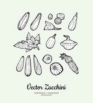 Zucchini vector set. Vegetarian poster, banner, logo, icons, sticker, menu, shop Stock Illustration