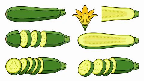 Zucchini Vegetable and Sliced Courgette Icon Set Stock Illustration