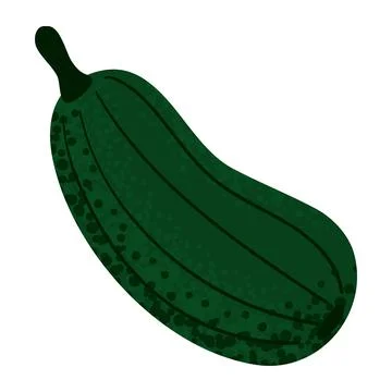 Zucchini vegetable icon Stock Illustration