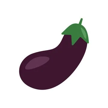 Zucchini vegetable vector illustration colored Illustrazione stock