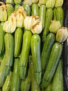Zucchini vegetables with flowers Stock Photos