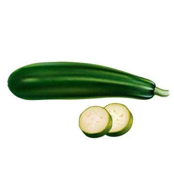 Zucchini on white background Stock Illustration