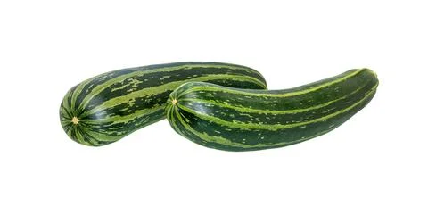 Zucchini on white background Stock Photos