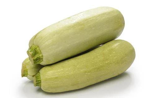 Zucchini on white background with soft shadow Stock Photos