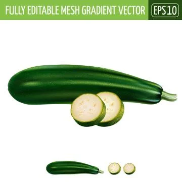 Zucchini on white background. Vector illustration Stock Illustration