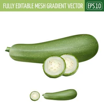 Zucchini on white background. Vector illustration Stock Illustration