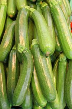 Zucchinis Stock Photos