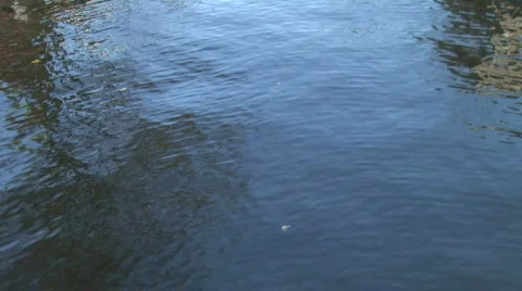 Zuiderkerk Stock Footage 784794