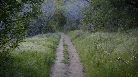 Zuma Loop Trail (1) - Malibu, California Stock Footage 89619631