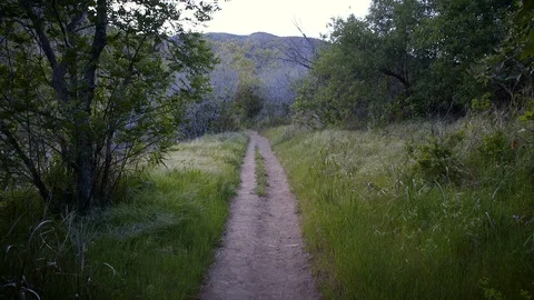 Zuma Loop Trail (1) - Malibu, California Stock Footage 89621923