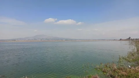 Zumpango lagoon with vegetation on the shore Stock-Footage 156875901
